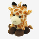Giamond Calo Stud Aenean