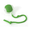 Pet Indoor Intelligent Interactive Toy Ball