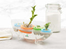 Kitchen Scrap Planter Book Bundle