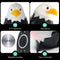 Simple Light Luxury 3D Eagle Wall Sconce