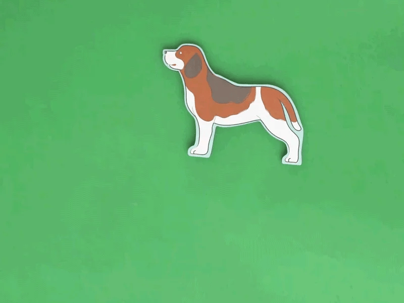 Veterinarian + Who Makes That? Book Bundle