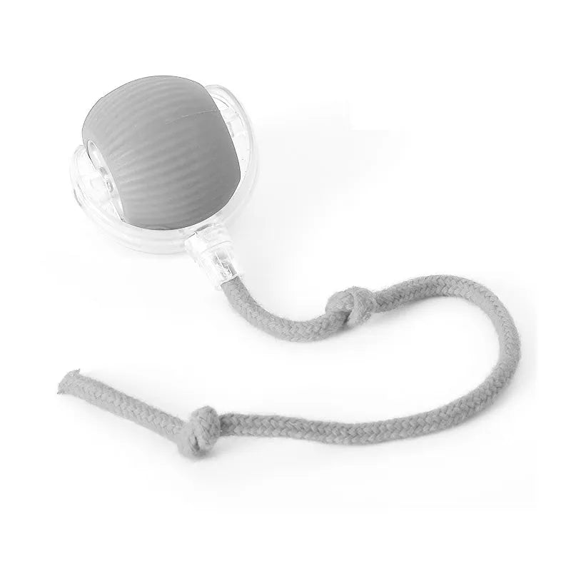 Pet Indoor Intelligent Interactive Toy Ball