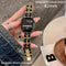 Luxurious & Elegant Apple Watch Double Chain Strap