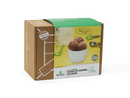 Science of Cooking: Ice Cream