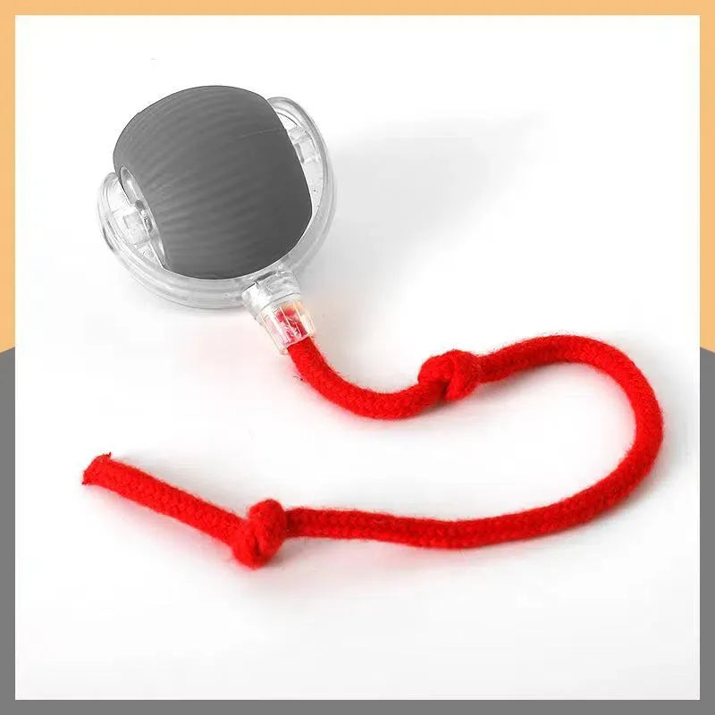 Pet Indoor Intelligent Interactive Toy Ball