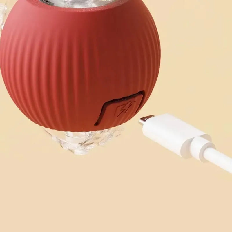 Pet Indoor Intelligent Interactive Toy Ball