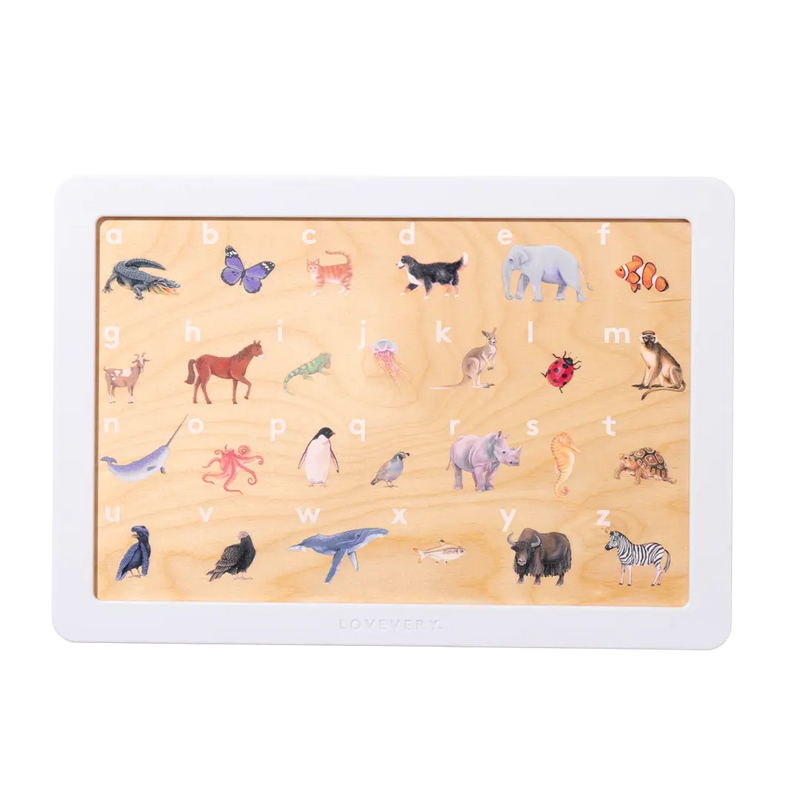 The Storyteller Play Kit