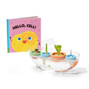 Kitchen Scrap Planter Book Bundle