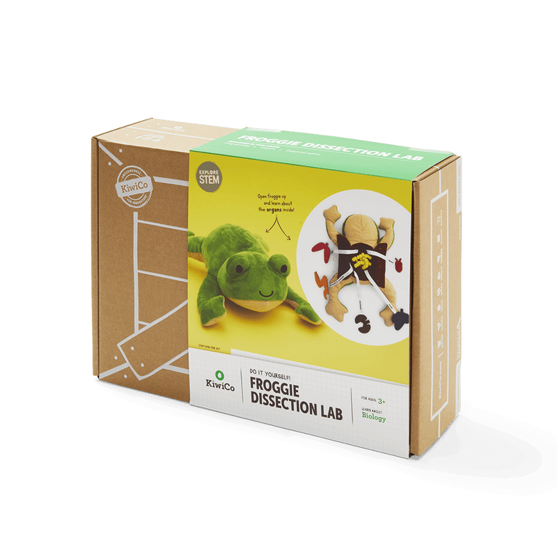 Froggie Dissection Lab