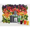Breville Juice Fountain Cold Juicer. Silver. BJE430SIL