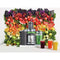 Breville Juice Fountain Cold Juicer. Silver. BJE430SIL