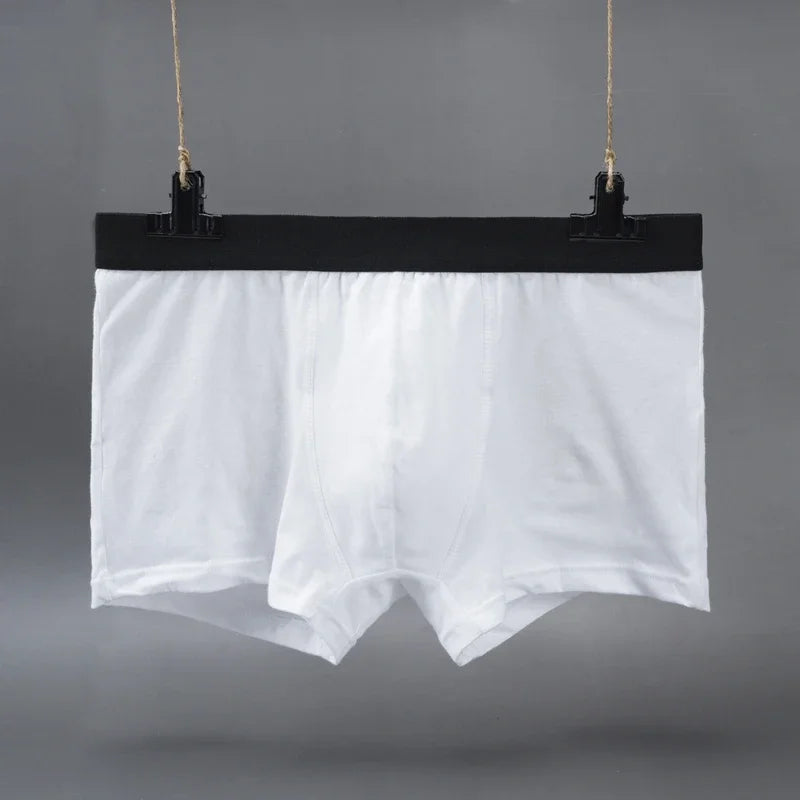 Plus Size L-5XL Men's Cotton Panties Boxer Intimate Underware Homme Boxers Thermal Shorts for Boy Sexy Lingerie Underpant