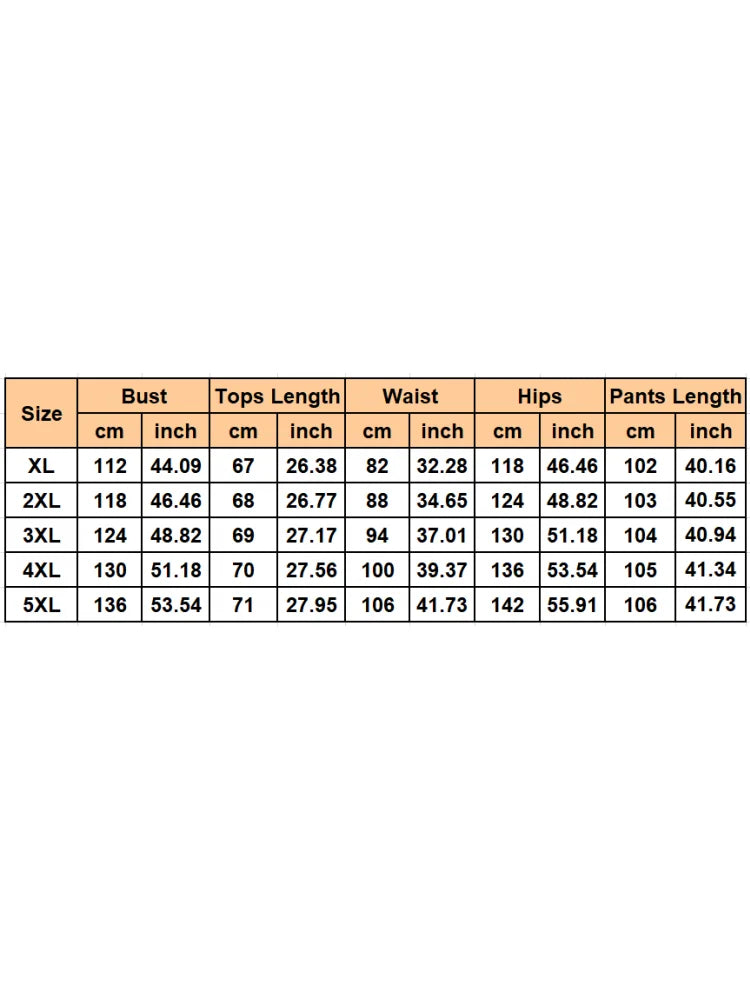 2 Piece Women Sets 2024 New Arrival Plus Size Summer Matching Sets Print Two Pieces Sets Top Pants Suits Outfits Clothing