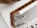 Hot Sale New Silver Suzuki 10 Holes Harmonica Folk Master Mouth Organ C Key Diatonic Blues with Nice Box Instrumentos Musicais