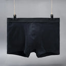 Plus Size L-5XL Men's Cotton Panties Boxer Intimate Underware Homme Boxers Thermal Shorts for Boy Sexy Lingerie Underpant