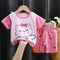 Cartoon print Newborn baby Clothes set soft cotton Baby set Baby girls Set 0-3year summen baby girls clothes set