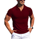 Men Turn Down Collar Short Sleeve Slim T-shirts Summer Male Solid Knitted Tee Tops LXDZ-KJ-P6-V