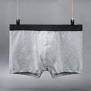 Plus Size L-5XL Men's Cotton Panties Boxer Intimate Underware Homme Boxers Thermal Shorts for Boy Sexy Lingerie Underpant