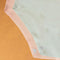 Giczi 10PCS/Set Seamless Women's Panties Solid Color Silk Satin Underwear Breathable Comfortable Briefs Sexy Lingerie Cozy Panty