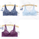 ALLTOOALL 3PC Women Sexy Lace Bras Plus Size Push Up Bralette Female Underwired Underwear Hollow Out Lingerie Embroidery Bra