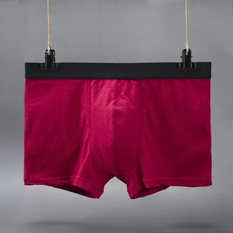 Plus Size L-5XL Men's Cotton Panties Boxer Intimate Underware Homme Boxers Thermal Shorts for Boy Sexy Lingerie Underpant